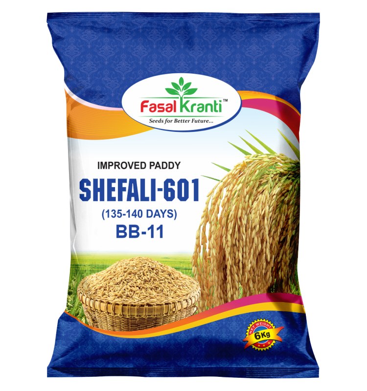Fasal-BB-11